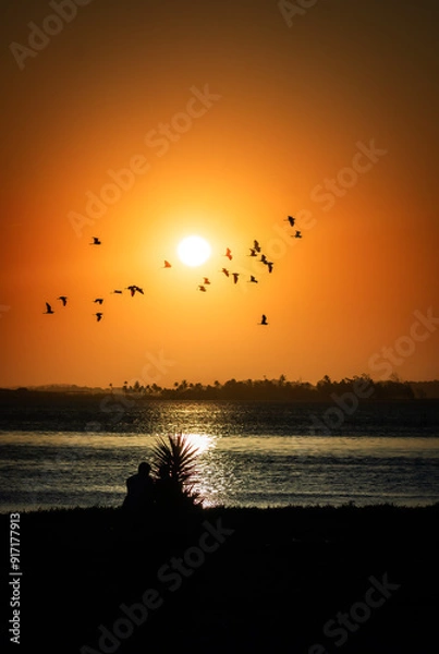 Obraz sunset on the beach