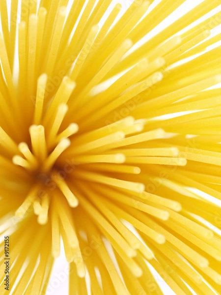 Fototapeta menü design, spaghetti bouquet nahaufnahme, food art