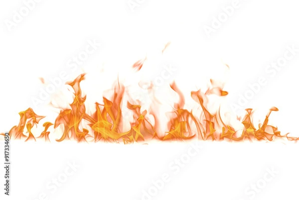 Obraz Campfire flame element on a transparent background, PNG