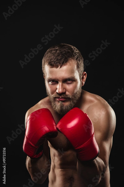 Fototapeta Athletic bearded boxer with gloves on a dark background