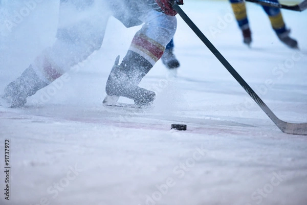 Obraz Ice Hockey Player in Action