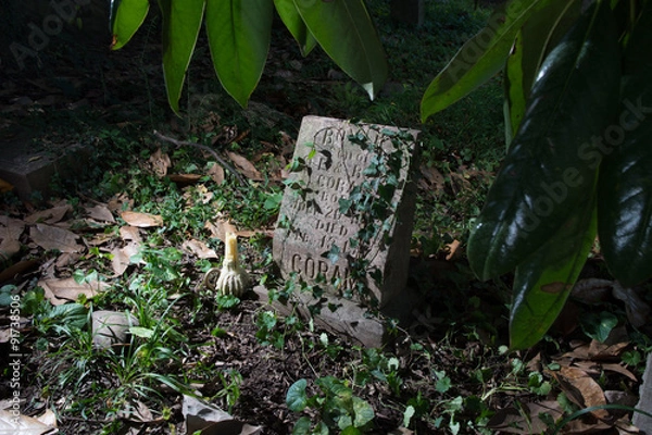 Obraz Tombstone in the Trees