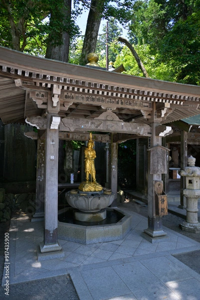 Obraz Japanese temple entrance with a golden sculpture on the garden