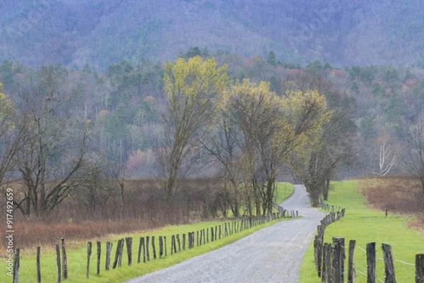 Obraz Early spring morning in the mountains along a gravel road trees starting to bud, and the mountains rising in the background.