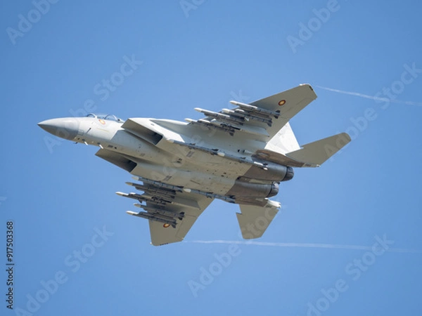 Fototapeta F-15 Eagle QA with 12 AMRAAM missiles