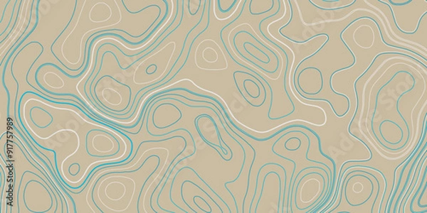 Fototapeta The concept of a conditional geography scheme and  contour line map vector. Ocean Depth Relief Line Art Illustration.