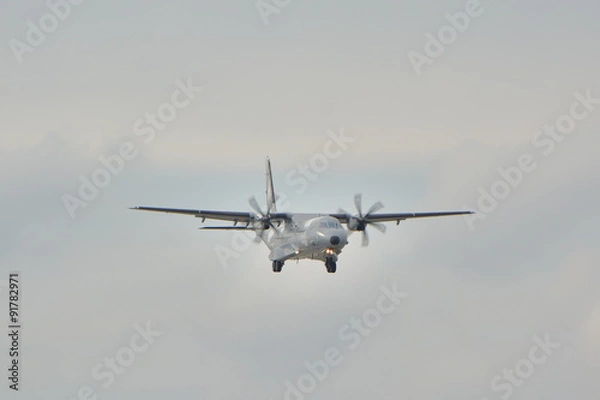 Obraz Polish Air Force plane