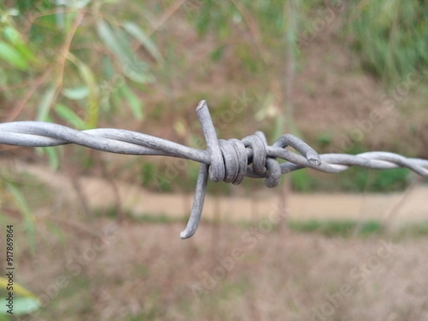 Obraz Efficient Barbed Wire for Enhanced Security