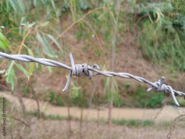 Obraz Efficient Barbed Wire for Enhanced Security