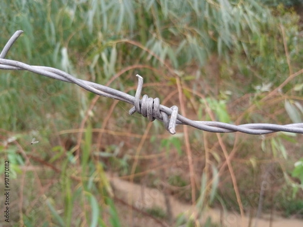 Obraz Efficient Barbed Wire for Enhanced Security