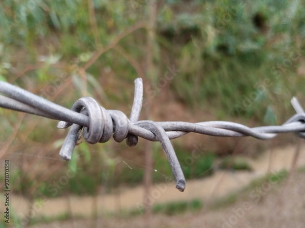 Obraz Efficient Barbed Wire for Enhanced Security