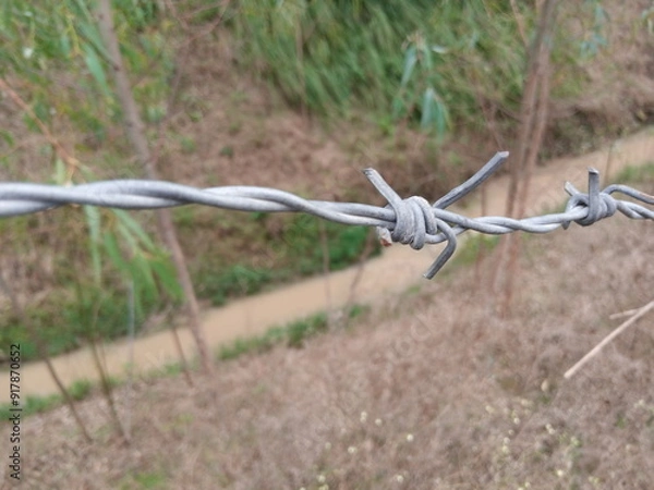 Obraz Efficient Barbed Wire for Enhanced Security