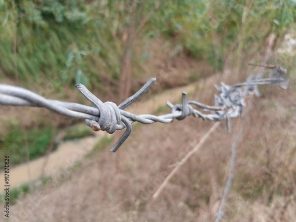 Obraz Efficient Barbed Wire for Enhanced Security