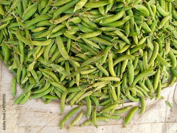 Obraz Fresh Peas from the Garden