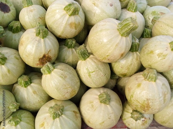 Obraz Fresh Apple Gourd Ready for Cooking