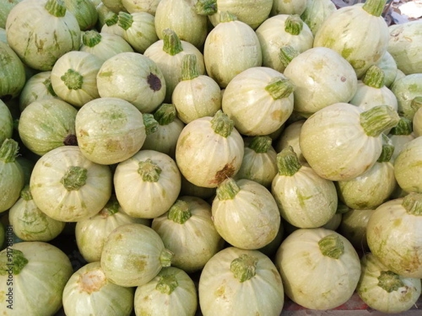 Obraz Fresh Apple Gourd Ready for Cooking