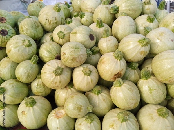 Obraz Fresh Apple Gourd Ready for Cooking