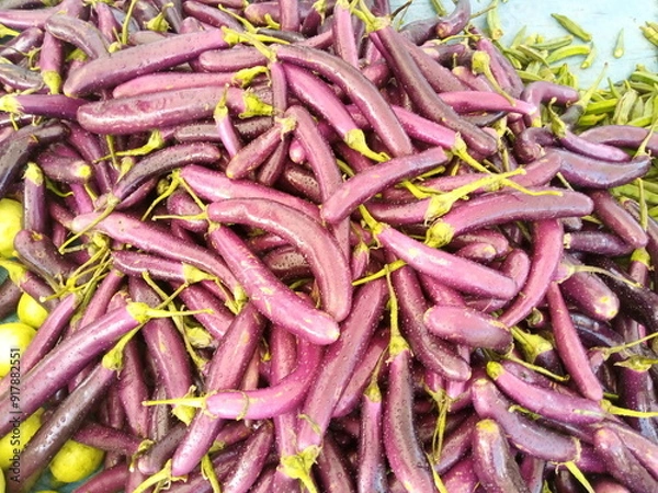 Obraz Fresh Brinjal (Eggplant) Ready for Cooking