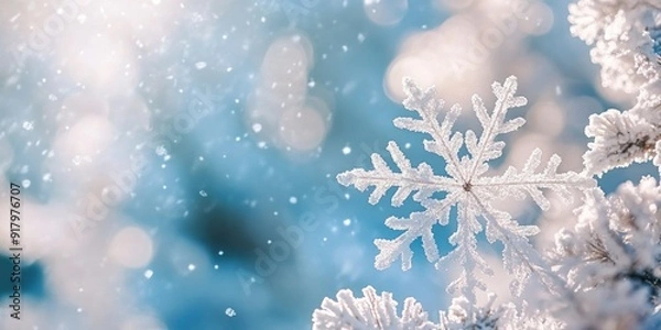 Fototapeta Snowflake on tree branch