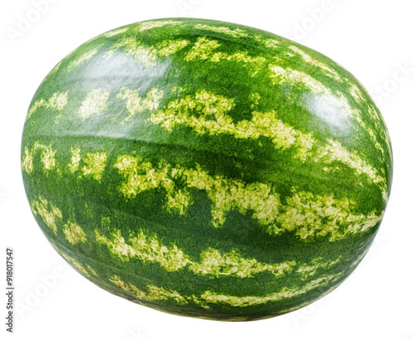 Obraz Whole ripe watermelon isolated