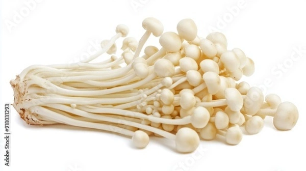 Fototapeta A group of enoki mushrooms with their long, slender stems and delicate caps, beautifully isolated on a white background.