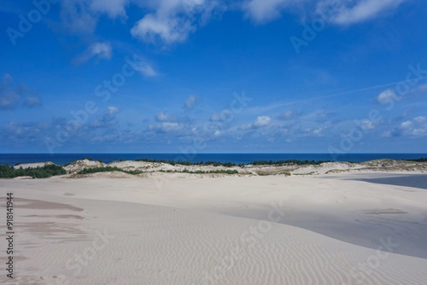 Fototapeta view to baltic sea from polands highest dune