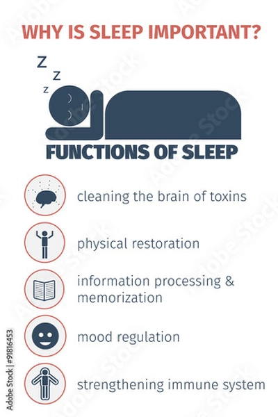 Obraz Sleep infographic