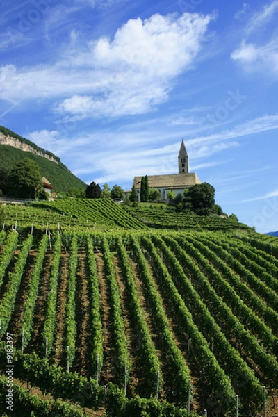 Obraz Südtiroler Weinstrasse