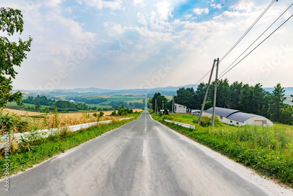 Obraz 北海道のジェットコースターの路
