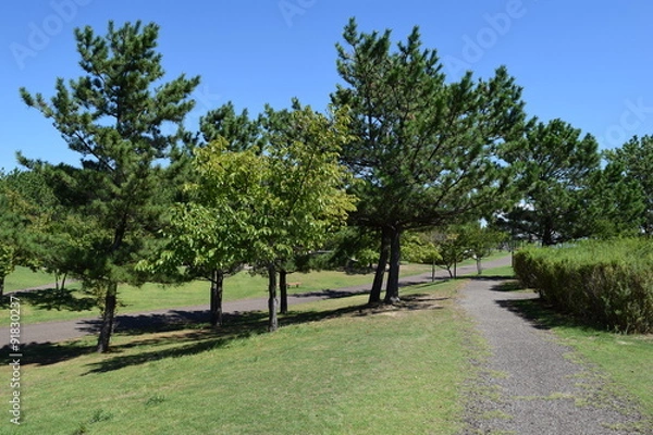 Fototapeta 庄内空港緩衝緑地／山形県の庄内空港ターミナル前に広がる緑地ゾーン「庄内空港緩衝緑地」を撮影した写真です。庄内の空の玄関口には、庄内砂丘の風紋をあしらった「風紋の広場」、飛行機の離発着を間近に見ることができる「ながめの丘」、子供と一緒に遊具で楽しめる「砂丘の広場」、キャンプが楽しめる「庄内夕日の丘オートキャンプ場」などがあり、自然を満喫しながら楽しめる施設があります。