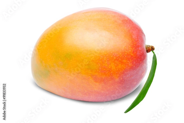 Obraz Mango