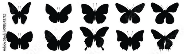 Obraz Butterflies silhouette