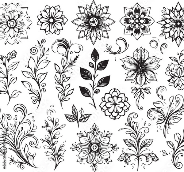 Fototapeta Exquisite Floral Vector Bundle for Elegant Design Projects