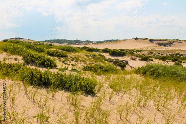 Fototapeta Sand dunes on sunny day in Cape Cod