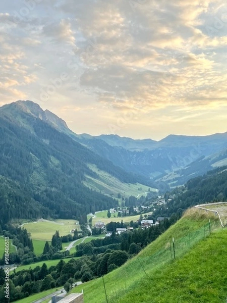 Fototapeta landscape in the summer