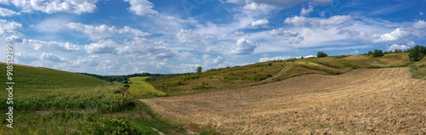 Fototapeta Steep terrain. Field landscape. Path along the fields. Blue horizon fills the sky. Bright summer day.