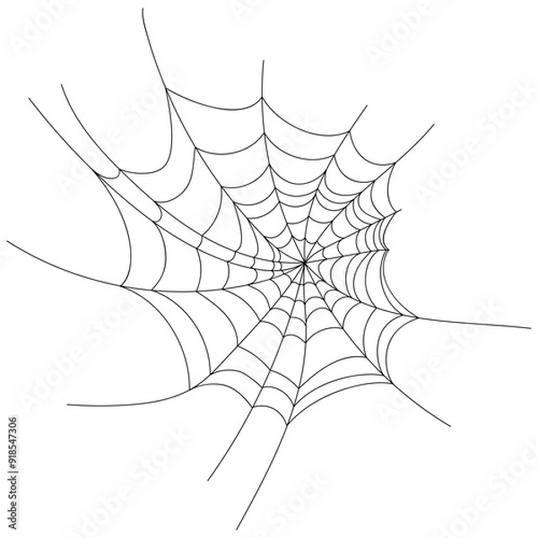 Fototapeta Hand drawn spider web icon set isolated on white. Black halloween cobweb vector illustration