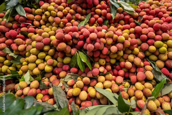 Obraz Ripe lychees, ready for sale at the market. Vibrant colors and juicy sweetness of this tropical delight, straight from the orchard to your table. Lychee, Litchi, Lichee, fruit