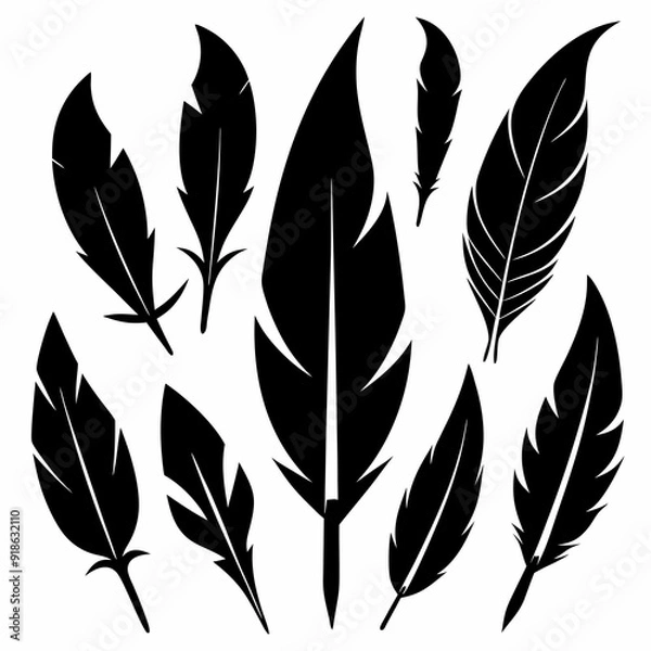 Fototapeta set of leaves. Feather icons. Set of black feather icons isolated. Feather silhouettes. 
