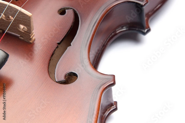 Obraz violin