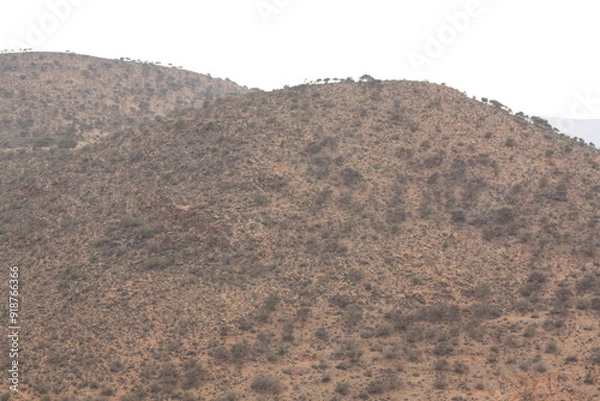 Obraz A beautiful view of mountains covered with argan trees