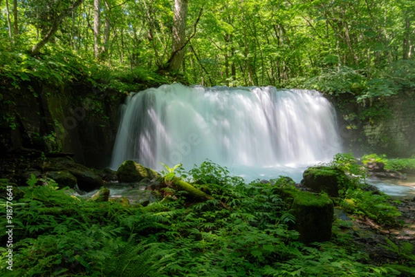 Fototapeta 青森県十和田奥入瀬渓谷にある銚子大滝