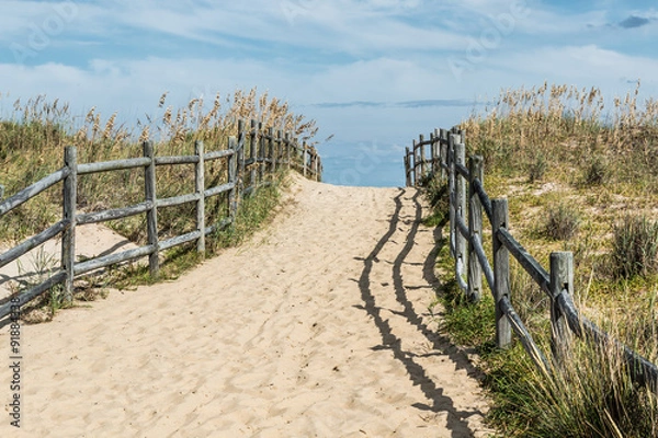 Obraz Ścieżka na plaży Sandbridge w Virginia Beach w stanie Wirginia