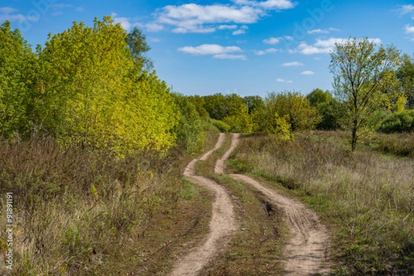 Fototapeta winding bumpy road in the woods