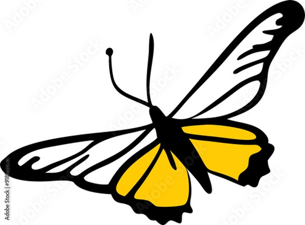 Obraz tiger swallowtail, icon doodle fill