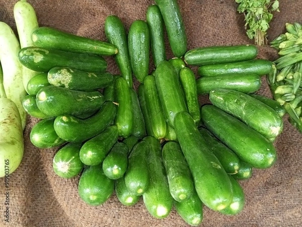 Fototapeta Cucumbers are a widely cultivated plant in the gourd family, Cucurbitaceae. It have high water content helps with hydration.Fiber content etc.