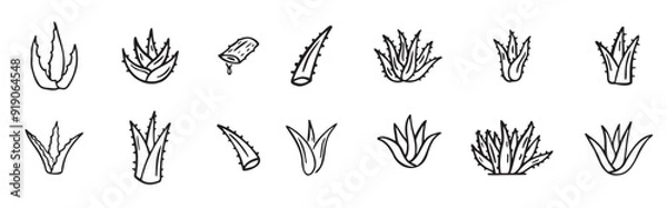 Fototapeta hand drawn doodle aloe vera outline icon set vector illustration