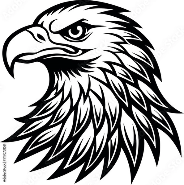 Obraz Eagle head mascot colorful concept