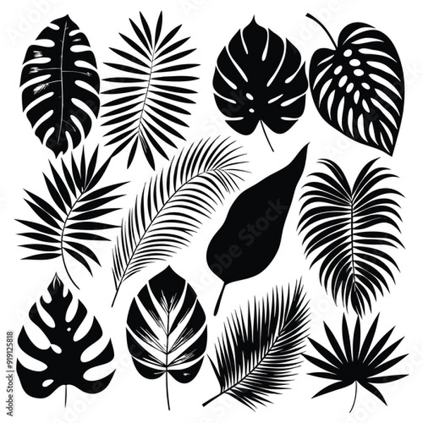 Fototapeta Intricate Leaf Silhouette Vector Illustration: Maple, Oak, Palm, Fern, Ginkgo, and Ivy Leaves