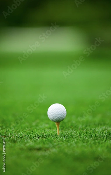 Obraz Golf ball on the tee